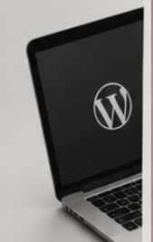 WordPress web design service